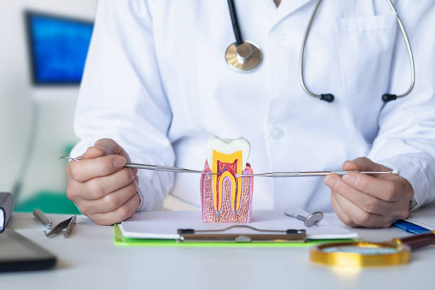 Best Emergency Dental Extractions in Adamsville, TN